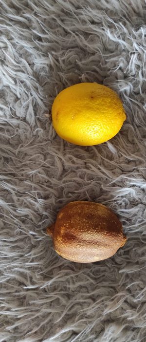 CITRON BIS CITRON BIS